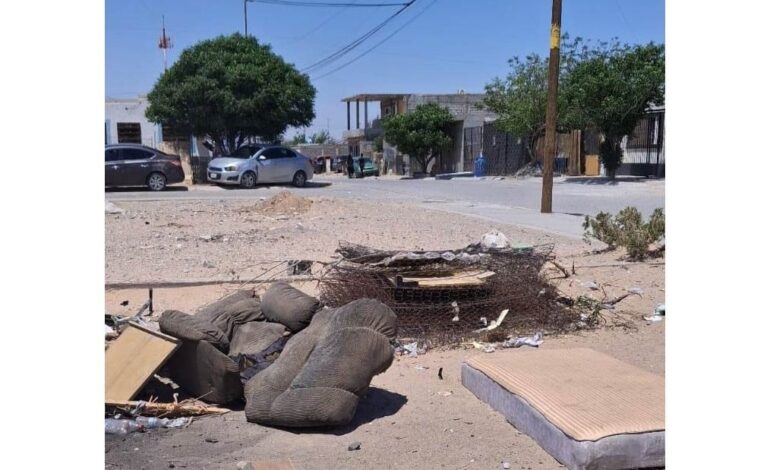 En Cd Juárez lanzan campaña “El cochino de la semana” para exhibir a quienes tiren basura