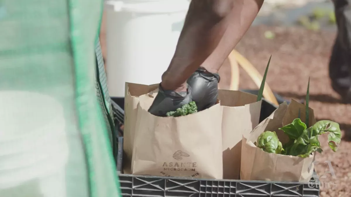 Deportaciones amenazan la agricultura, construcción, hospitalidad y la fuerza laboral