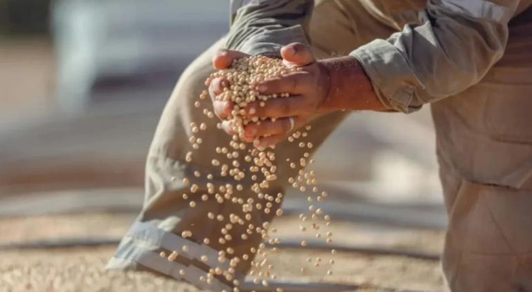 Compran kilo a $9 y lo venden hasta en $55