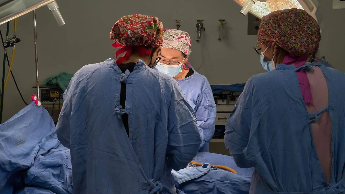 ¿No tienes seguro? Estos son los costos de los servicios del IMSS para no derechohabientes en 2026